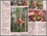 [thumbnail of More than just hornbills_New Straits Times_30Apr2023_page 1.png]