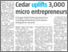 [thumbnail of Cedar uplifts 3,000 micro entrepreneurs.png]