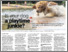 [thumbnail of Is your dog a playtime junkie_The Star Malaysia_23 Nov 2025_ Annett Stein.png]