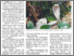 [thumbnail of Cobra in Brazil sparks trafficking probe_The Sun (Malaysia)30Jul2020_AFP-Relaxnews.png]